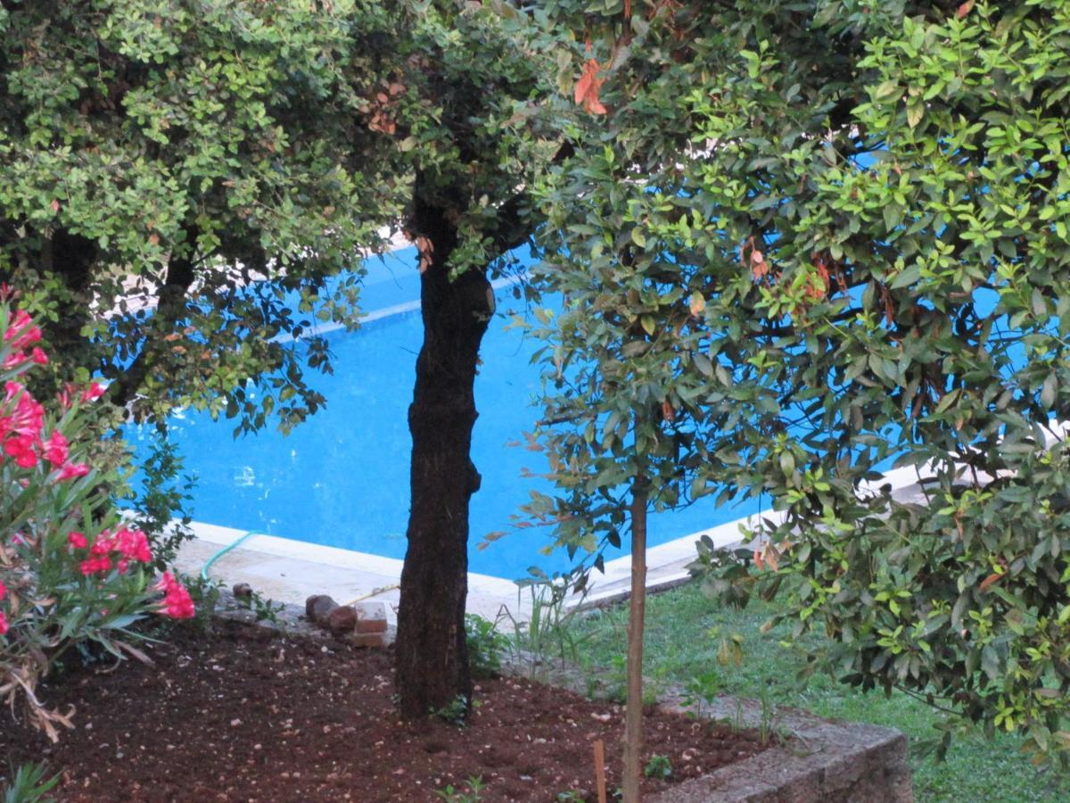 Villa Valmarana De Toni Creazzo Dış mekan fotoğraf